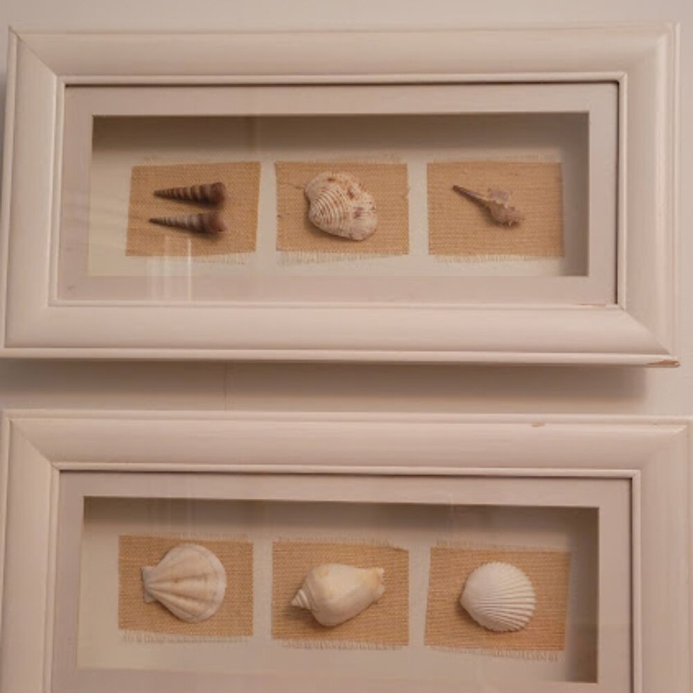 Sea Shell Shadow Boxes - Picture 2 of 11